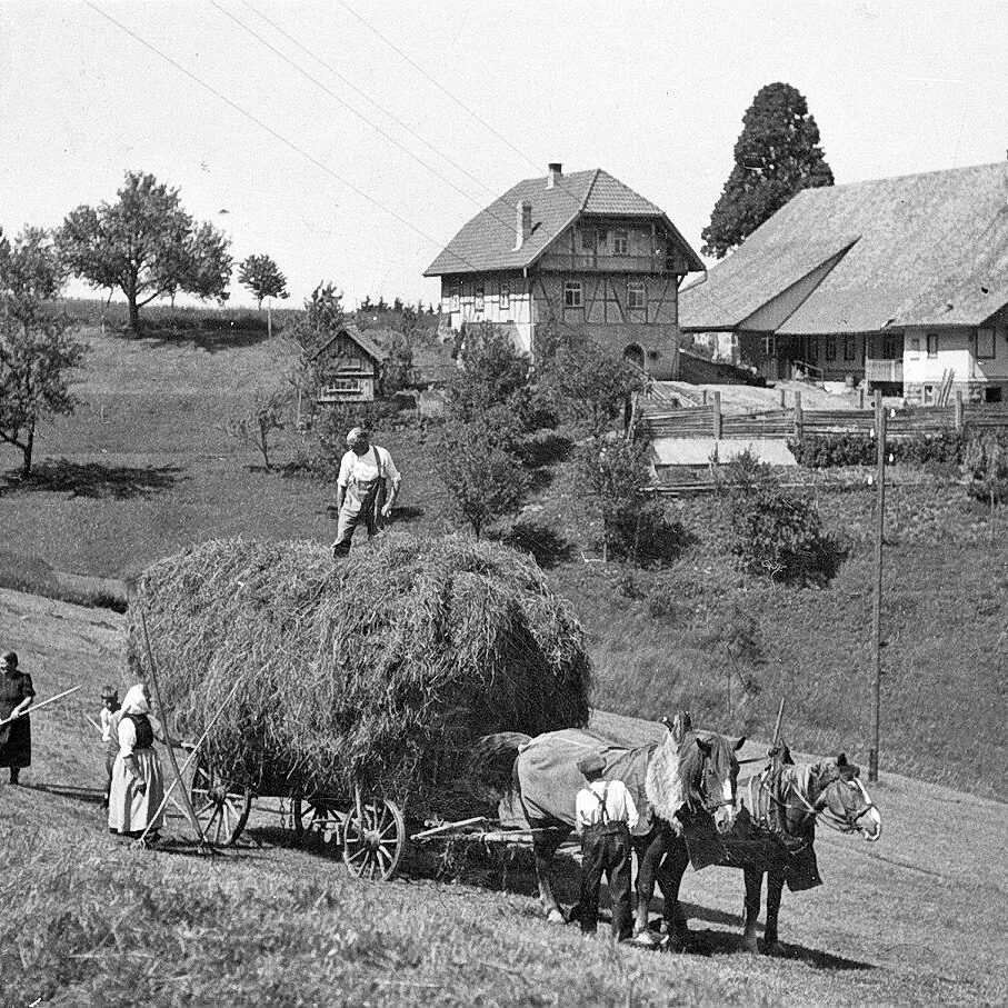 Heuwagen 2