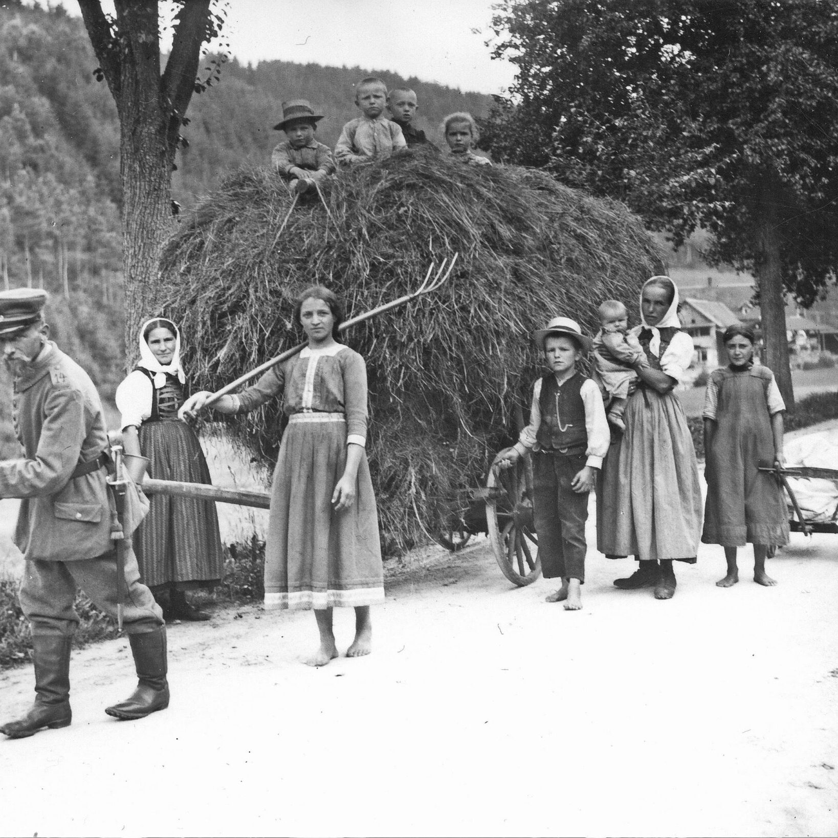Heuwagen 3