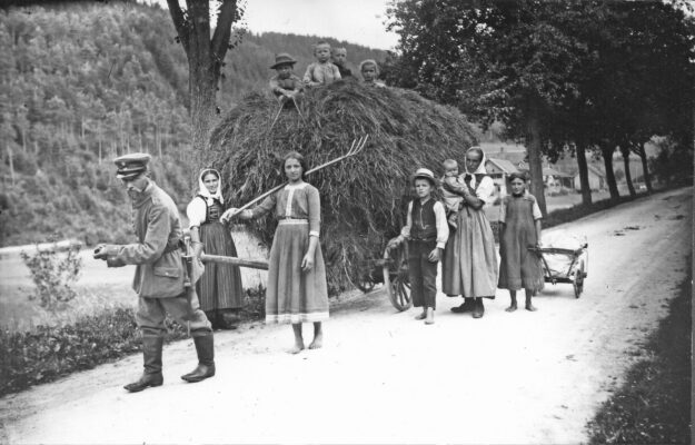 Heuwagen 3 Heuwagen 3