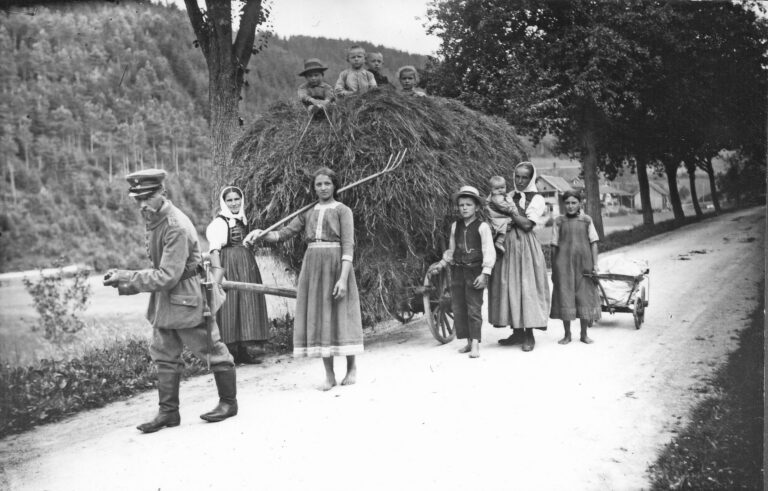 Heuwagen 3 Heuwagen 3