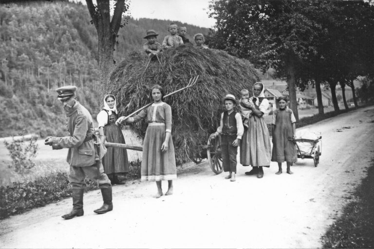 Heuwagen 3
