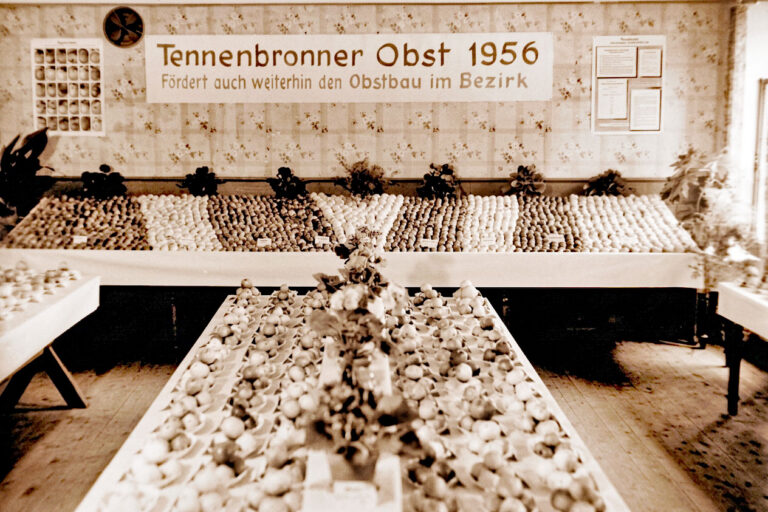 Tennenbronner Obst 1956