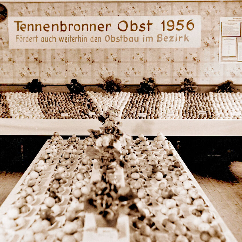 Tennenbronner Obst 1956