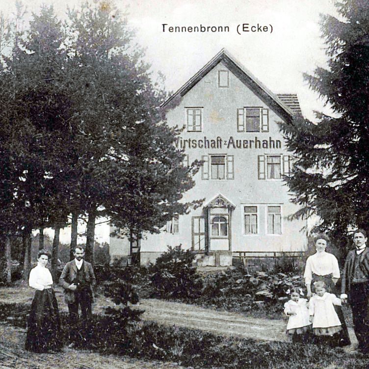Auerhahn 1