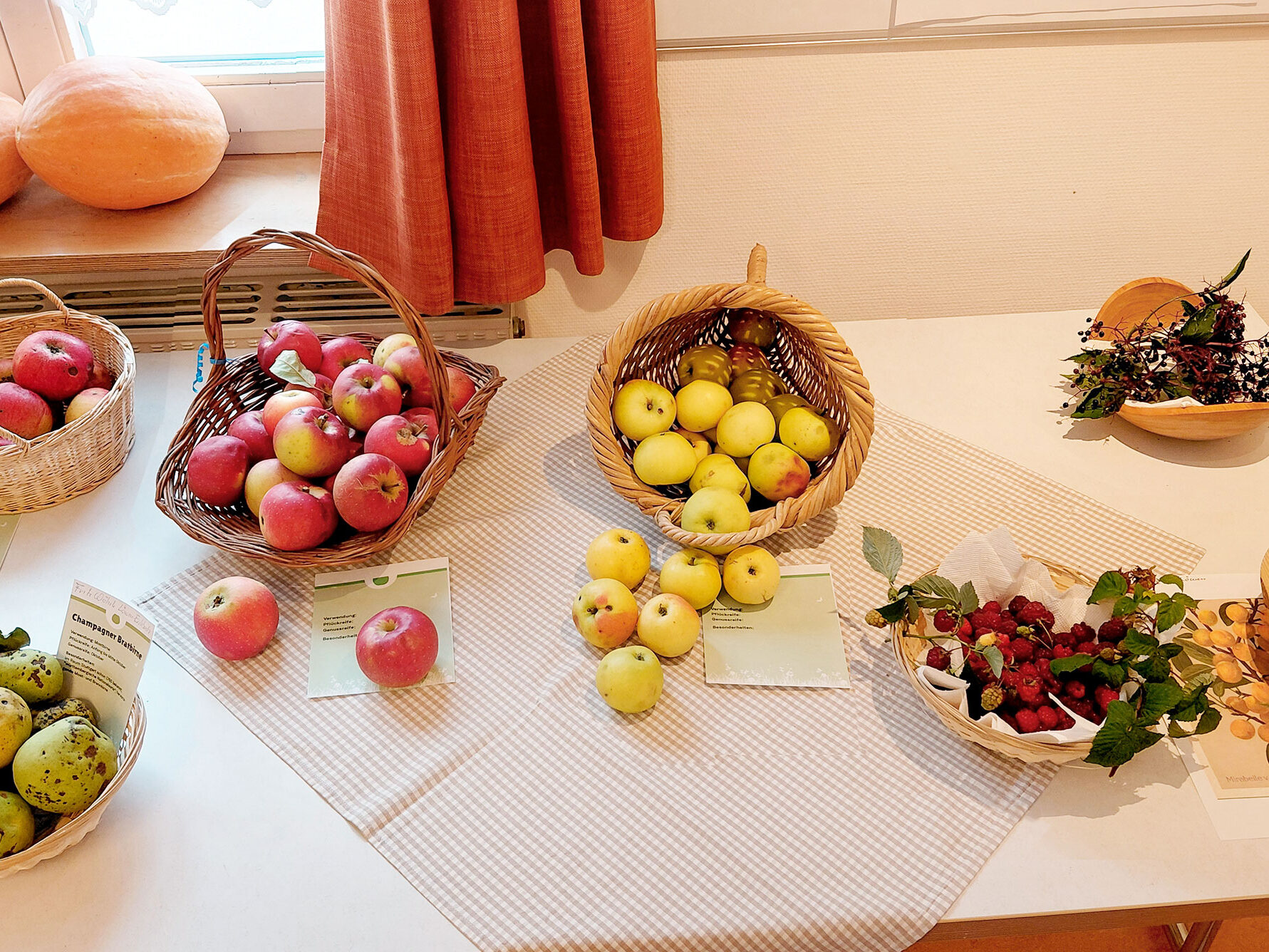 20261004 Heimisches Obst3 bearbeitet