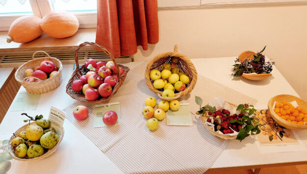 20261004 Heimisches Obst3 bearbeitet 20261004 Heimisches Obst3 bearbeitet