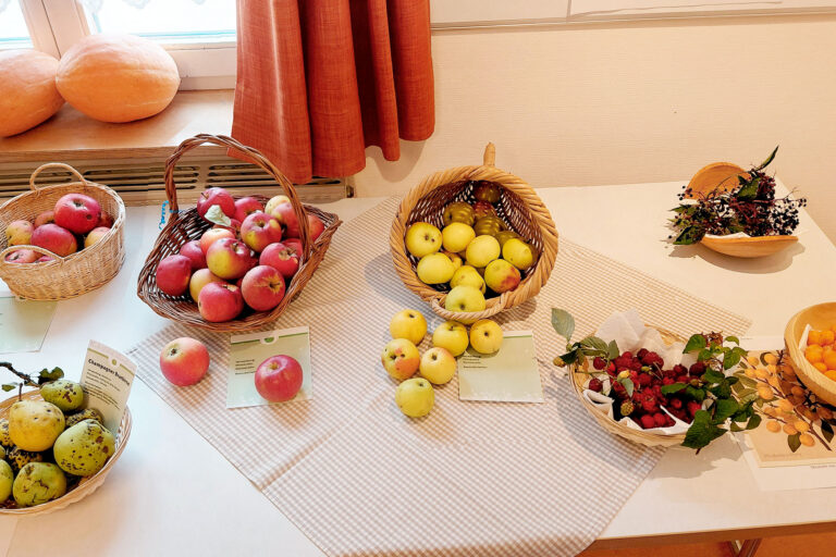 20261004 Heimisches Obst3 bearbeitet 20261004 Heimisches Obst3 bearbeitet